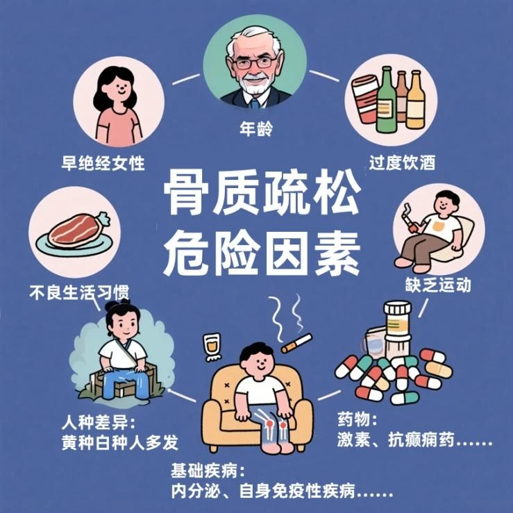 世界骨质疏松日｜别只傻傻补钙！2026年治骨新观念：先长新骨，再固牢骨头